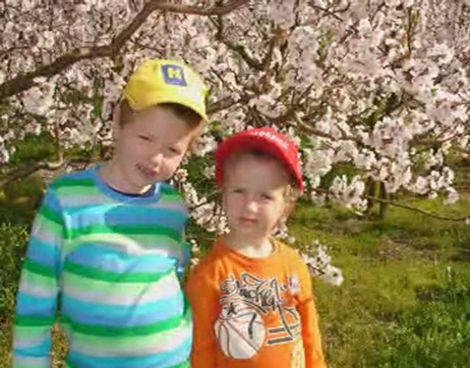 Thomas Piaty im Radio N.Ö.