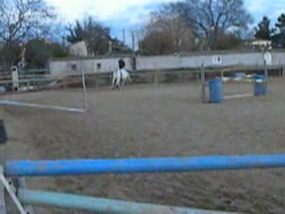 Concours CSO Club E1 - Marianne sur Gold (1/6)