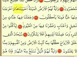 Yasin Suresi 3 - Ok Takipli Kur'an-ı Kerim Tilaveti