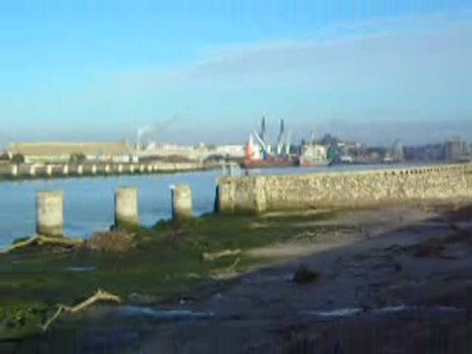 DSCN9984