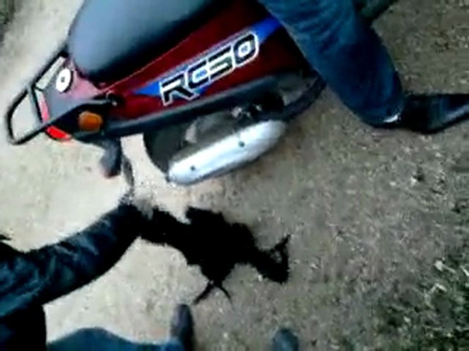 Délir avec le scoot de Reynald.