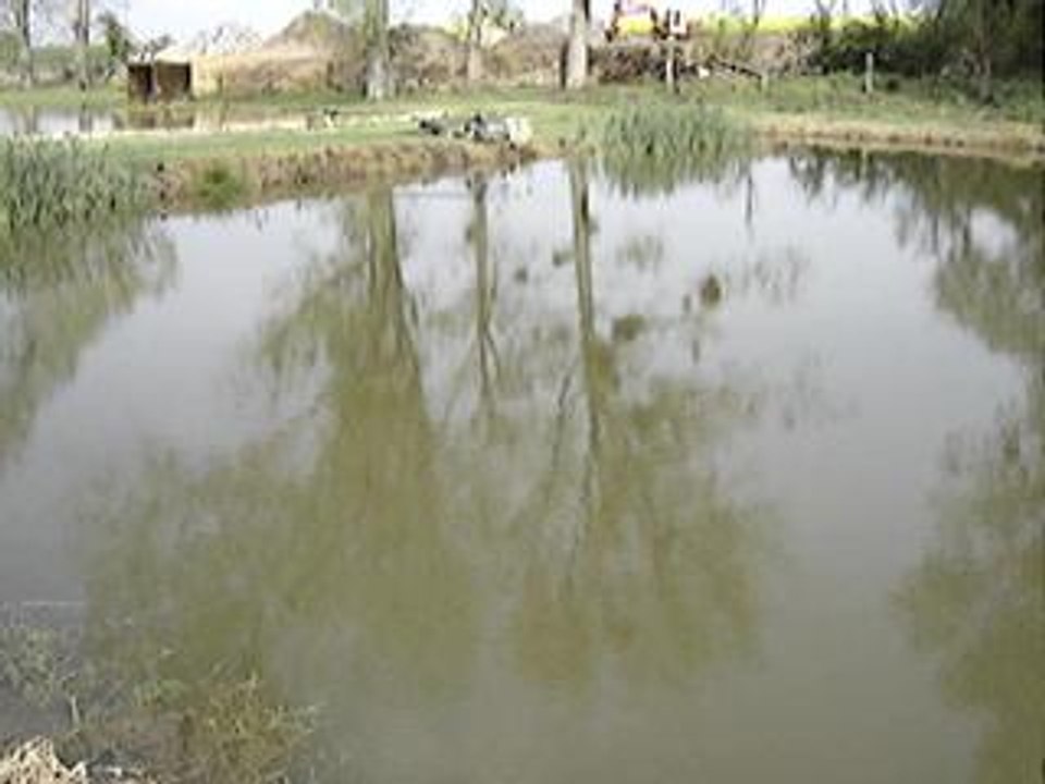 MOV02792