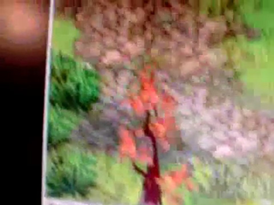 Passage secret dofus 3