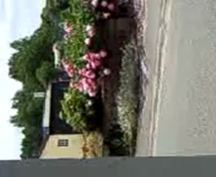 Mozart l'opéra Rock. Lille