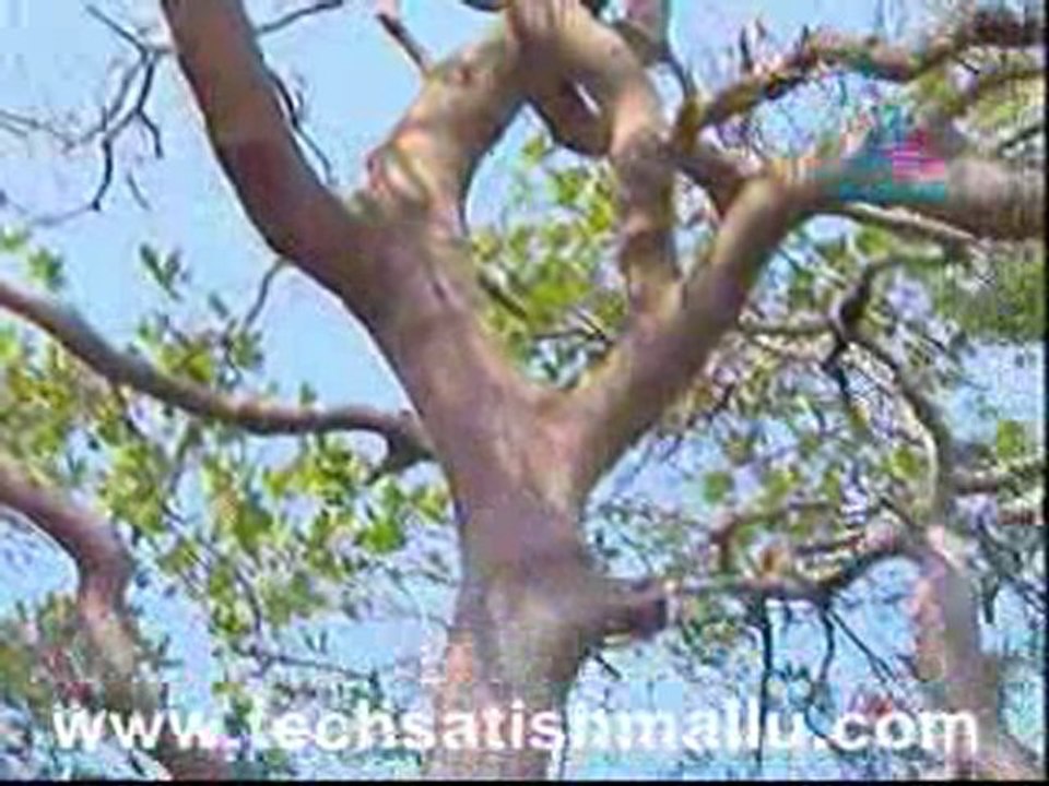 Sree Mahabhagavatham Feb 08