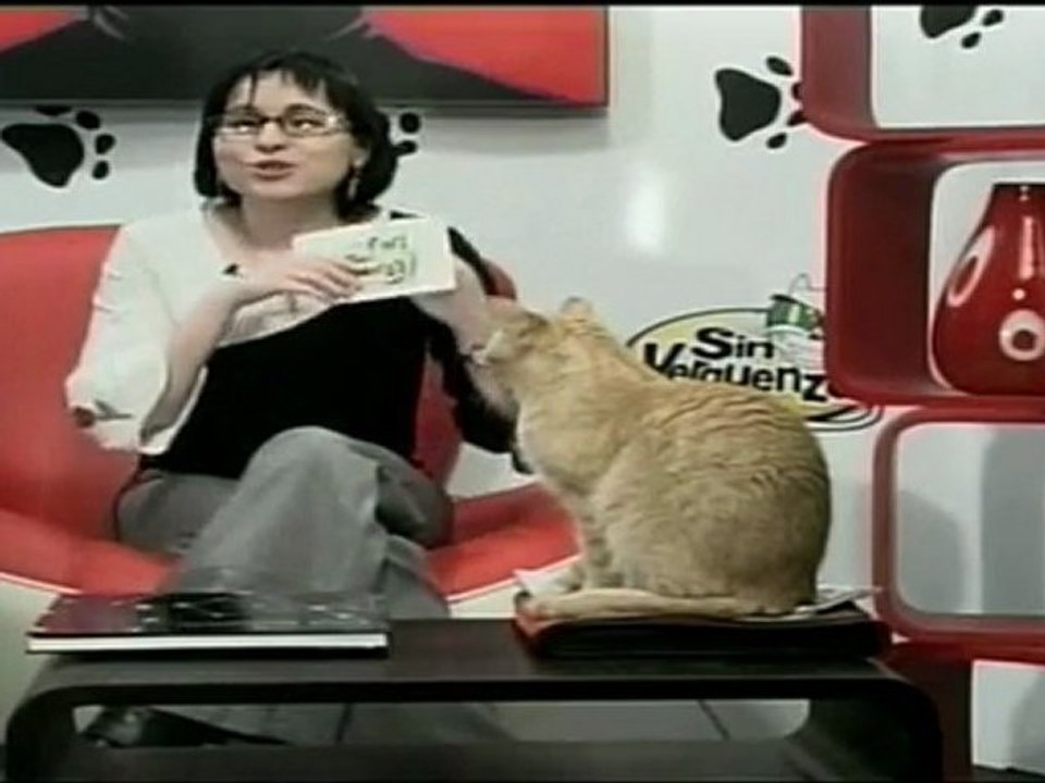 Programa SinVerguenza 22