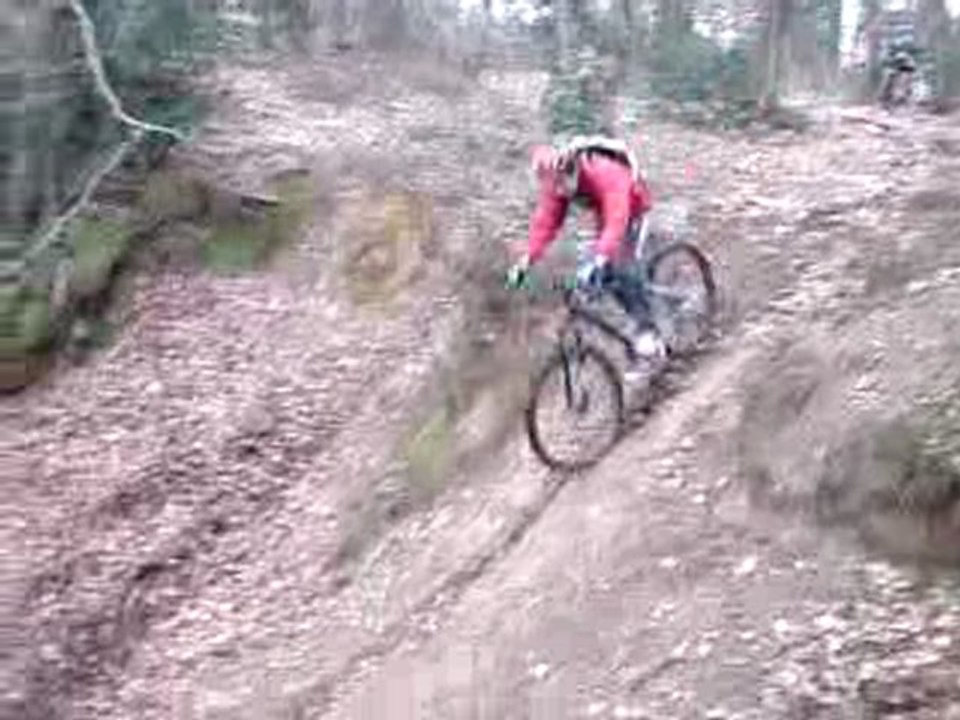 corniguel 2010