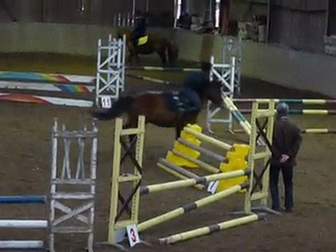 Concours Allonnes - 7.01.2010 - Martin et Laltéo