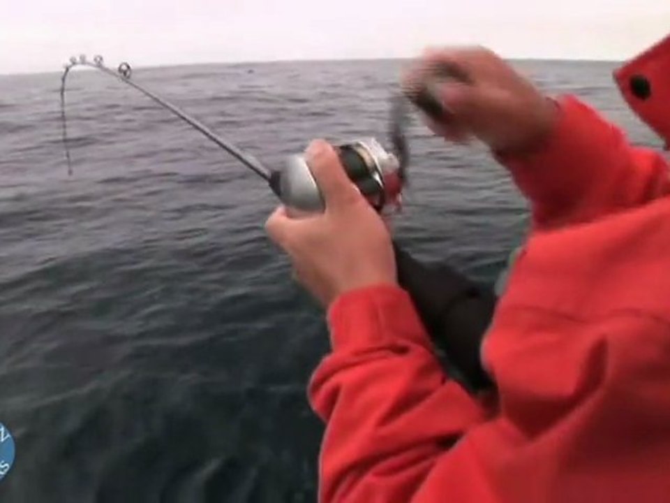 Shimano: Lucanus Jigging System