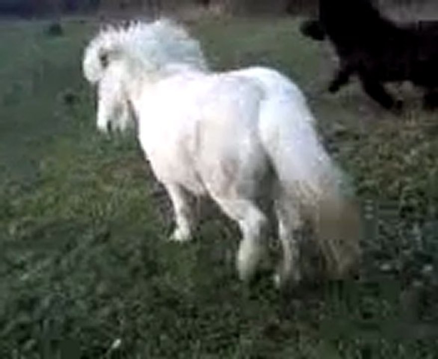 Vidéo0006