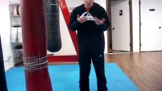 Donnie B. - Modified Muay Thai Round Kick Techniques