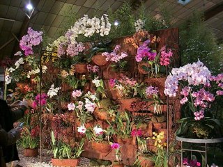 Floralies de Bourg 11-09