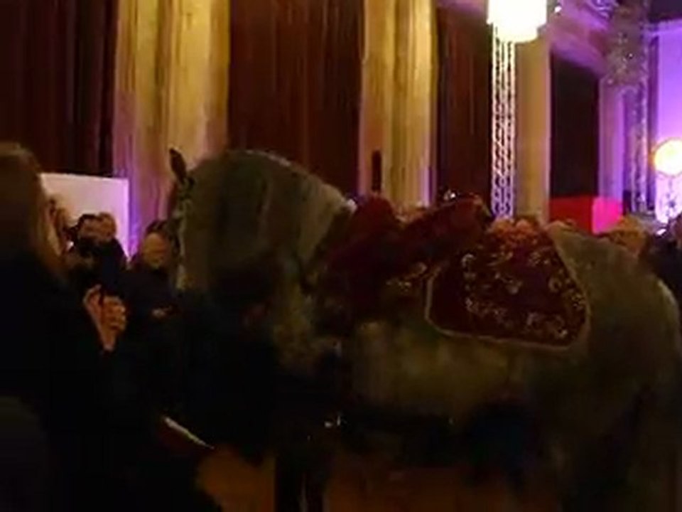 Mario Luraschi à cheval au Festival du Cinéma de Vincennes