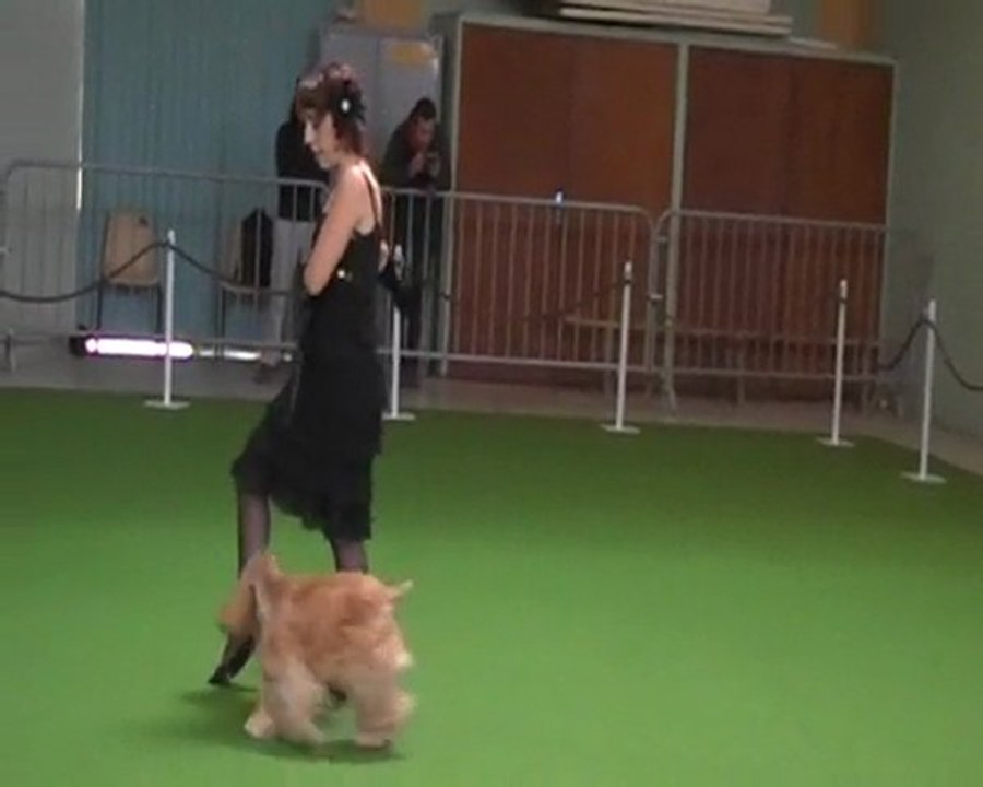 OBERYTHMEE BONREPOS 1er concours en novice