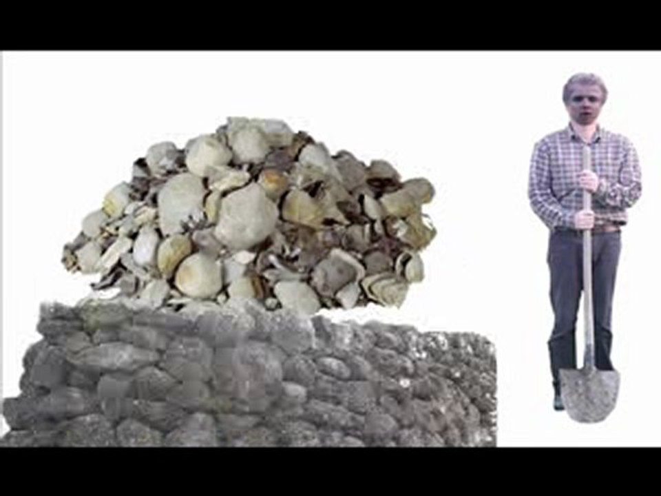 Je ne saurais jamais