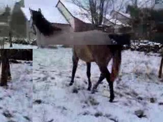 Kinette 7 janvier 2010