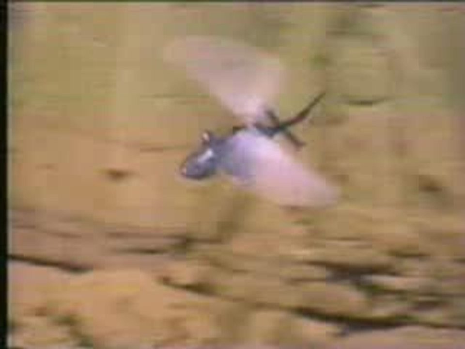 New Airwolf