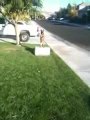 Dog Trick Back Flip Temecula Dog Training