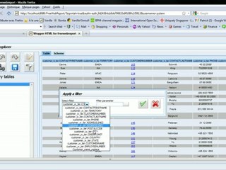 FreeWebReport - Metadata Explorer