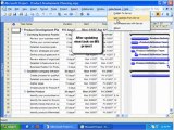 Microsoft Project  Viewer