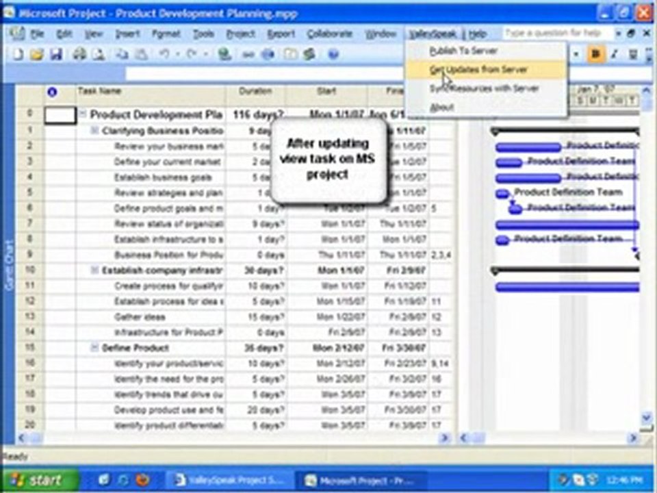 Microsoft Project  Viewer