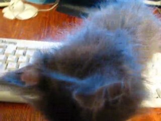 Клёпка. Молодые годы.