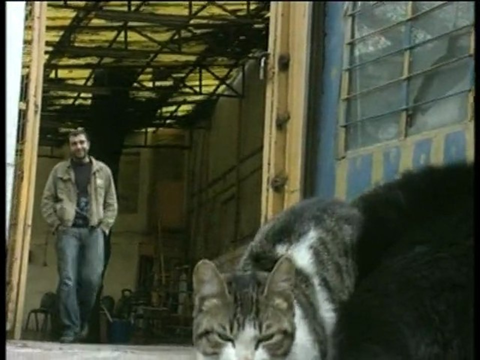 Kedi Ve Köpeğin Dostluğu Görenleri Şaşırttı