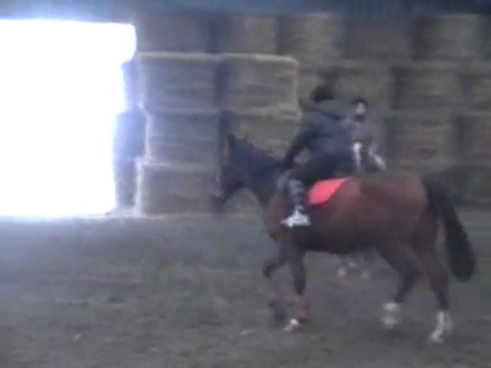 essai 1