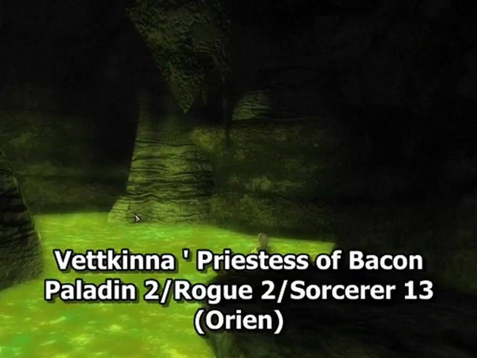 DDO - Acid Wit - A quick guide