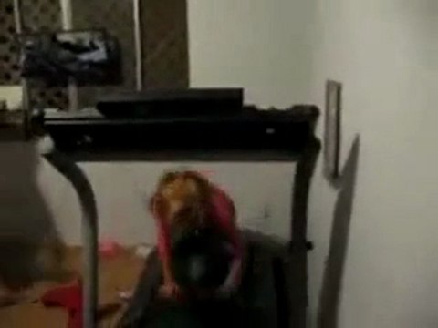 koşu bandında emekleme