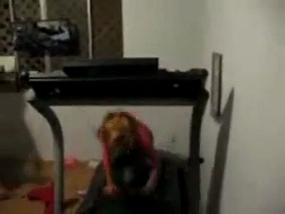 koşu bandında emekleme