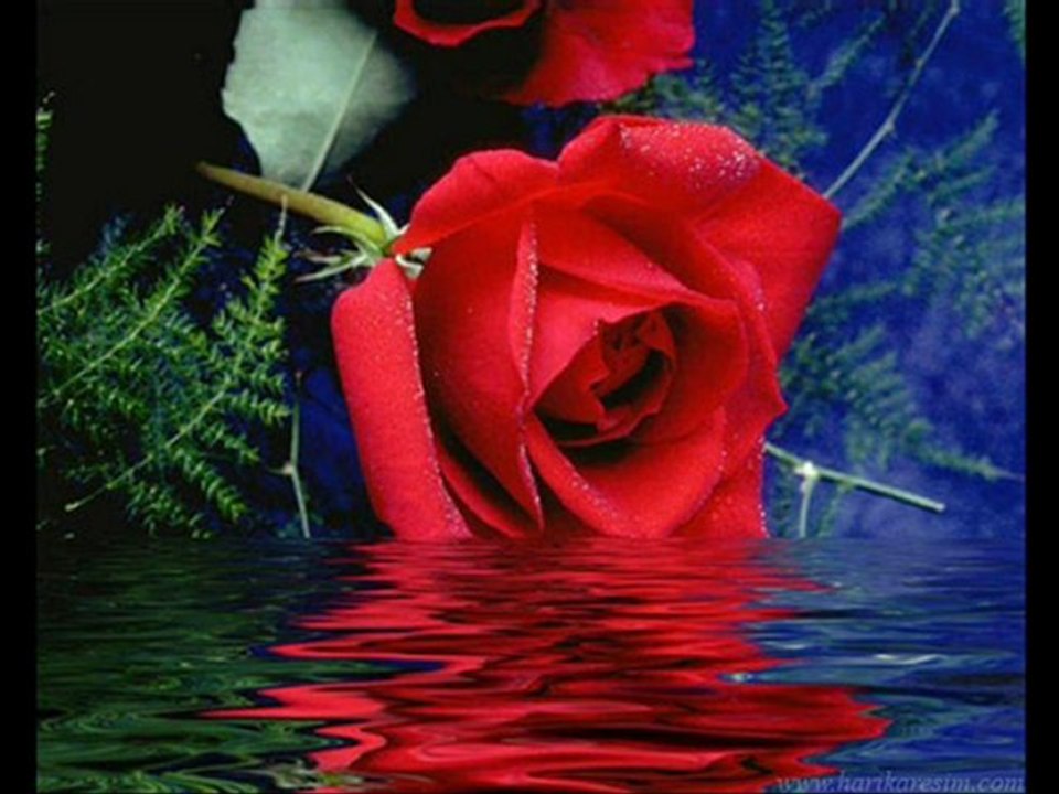 fayworm amenna ilahisi