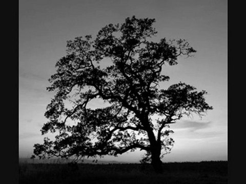 LEVENT YÜKSEL-SEZEN AKSU - KARAAGAÇ