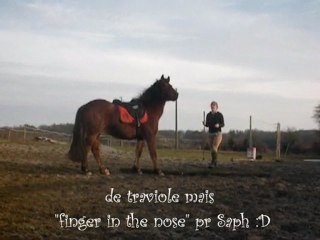 Saph 4 Février 2010