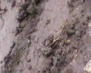 24.01.2009 fatoff incirlikte lastik denemeleri