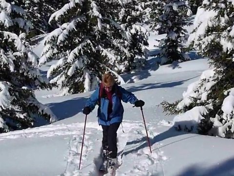 Ski de randonnée au Grand Rocher