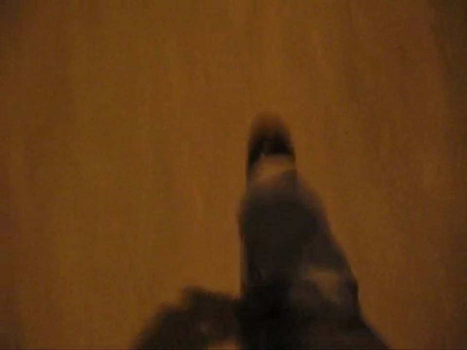 Marche à l'ombre