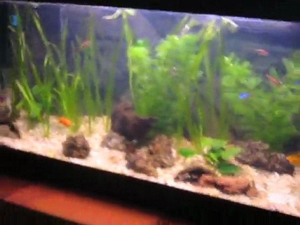mon 90L