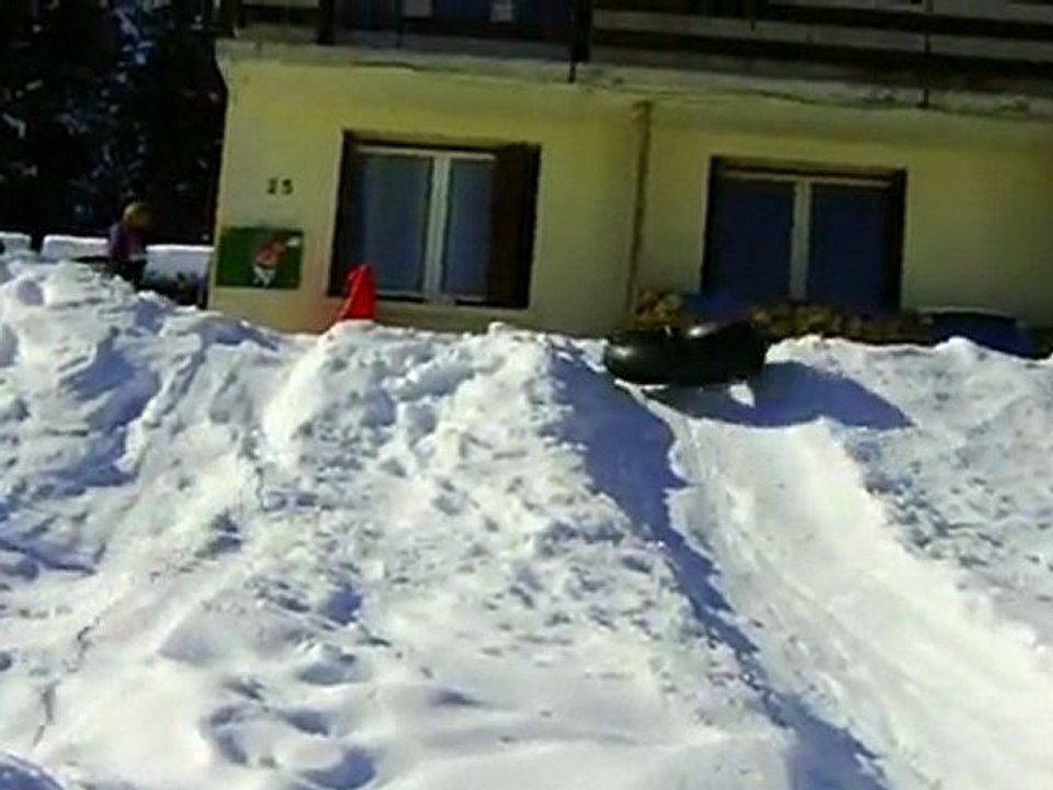 luge