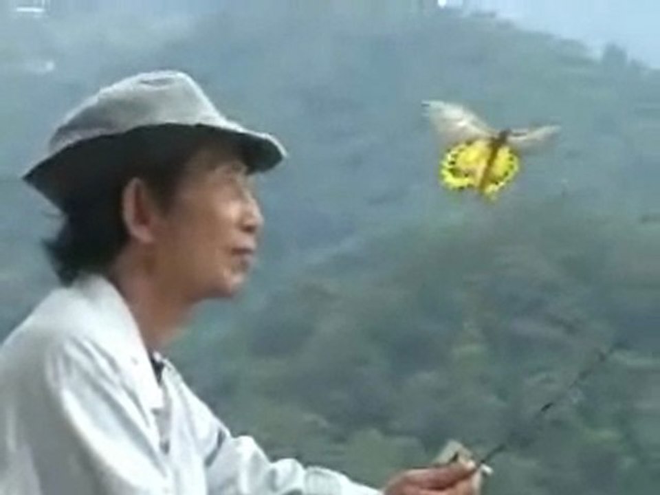 Sunny Lin’s kite World : http://www.wokipi-kite.com/