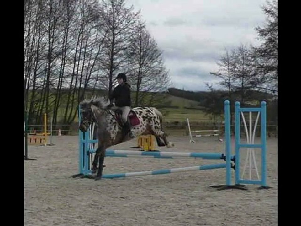 Lauryanne concours 21_02_2010