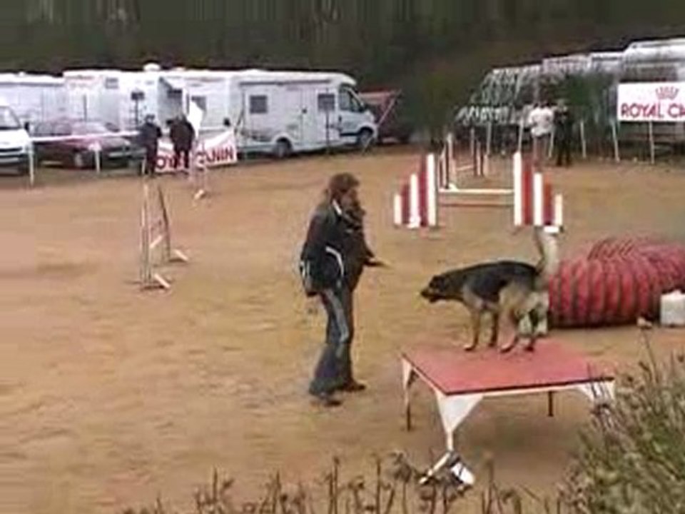 cheyenne agility sur " l'open "