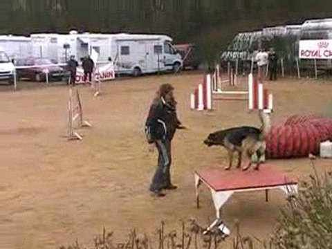 cheyenne agility sur l'open