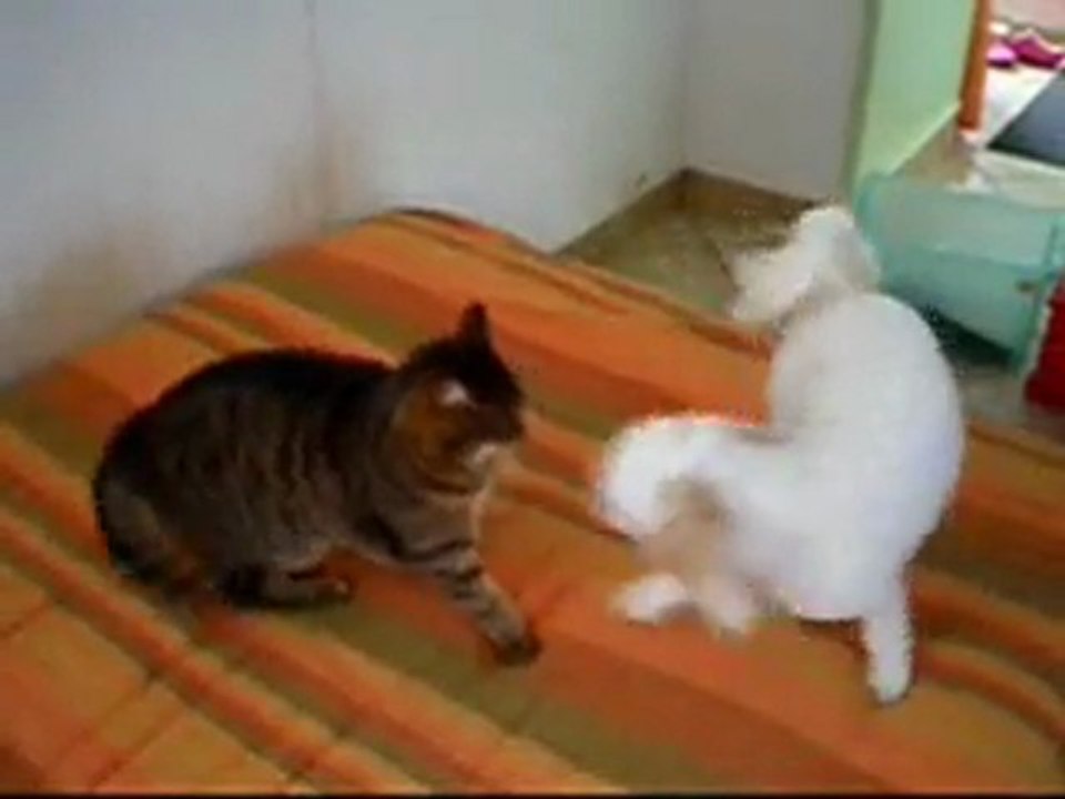 LE MATCH  ABBY GRIGRI