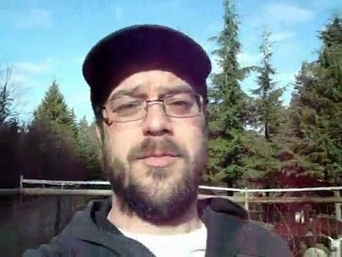 Les lamas et les alpagas selon Seb