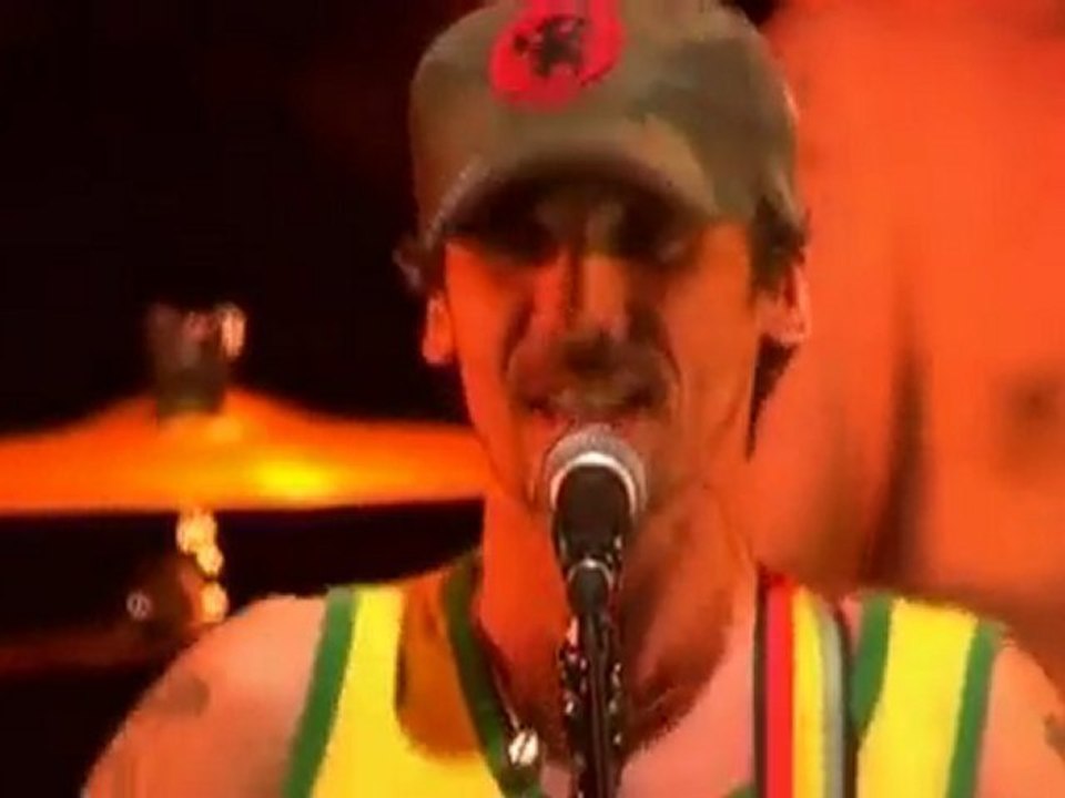 MANU CHAO : la valse à SARKOZY ( live pont du GARD )
