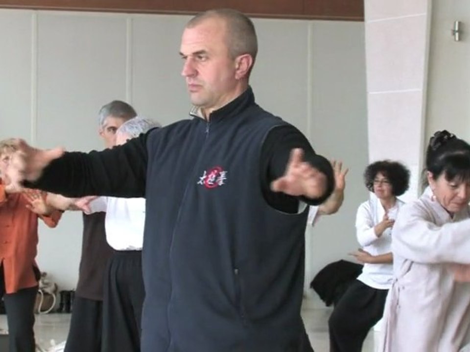 Stage de Tai Ji Quan et Qi Gong à Saint-Jean-de-Monts