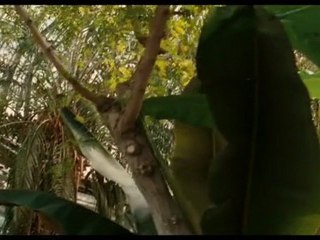 Chloe Bande Annonce du film