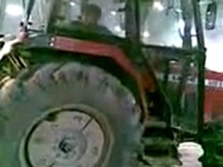 tümosan 288 cekişme