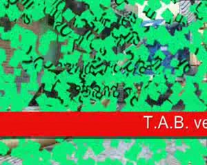 terrassement par aspiration (www.tab-aspi.com)